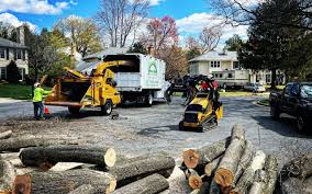 Best Commercial Tree Services  in Southside, AR